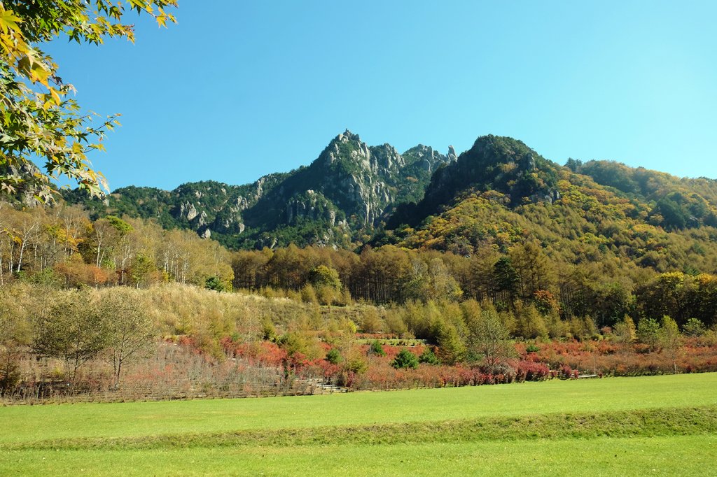 🏞️ 미즈가키산 자연공원 (미즈가키야마 시젠코엔) 이미지 6